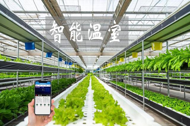 農業物聯網賦能傳統大棚升級，手機管控溫濕度引領智能農業新時代